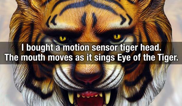 tiger - I bought a motion sensor tiger head. The mouth moves as it sings Eye of the Tiger.