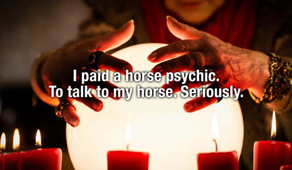 seance crystal ball - I paid a horse psychic. To talk to my horse. Seriously.