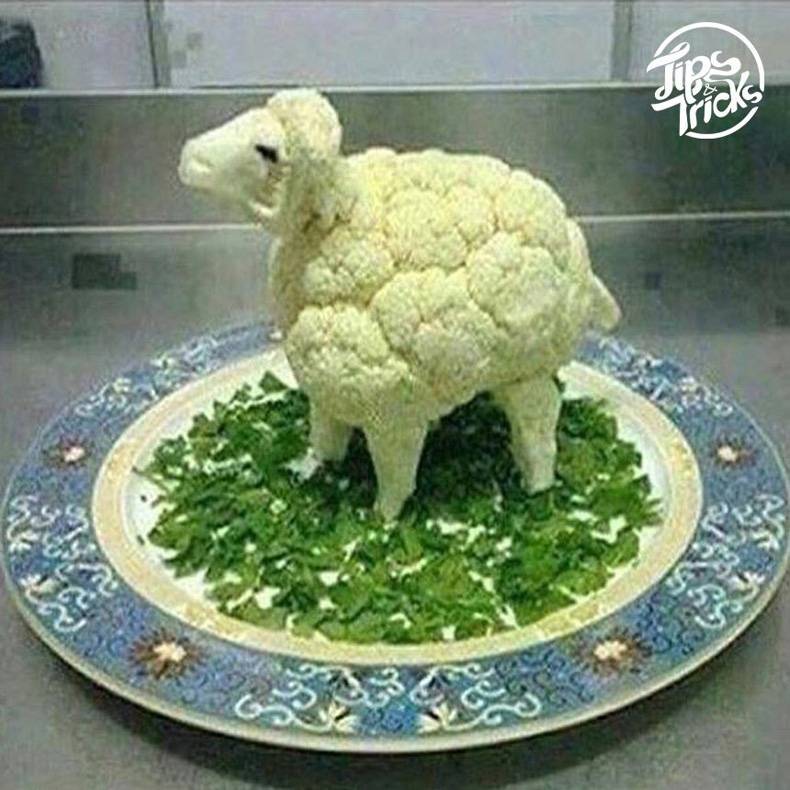 sheep cauliflower