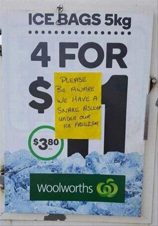 funny work fail - Icebags 5kg 4 For Please Be Aware We Have A Snake Asleep Under our Ice Freezer $28 Woolworths 6