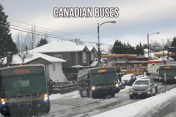 canadian buses sorry - Canadian Buses Sorry Sorry 19665