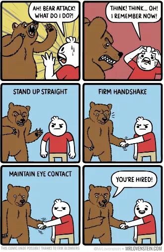 memes  - funny comics with dark humor - Ah! Bear Attack! What Do I Do?! Think! Think... Oh! I Remember Now! Stand Up Straight Firm Handshake Maintain Eye Contact You'Re Hired! This Comiche Possible Thanks To Frik Bloms G M Mrlovenstein.Com