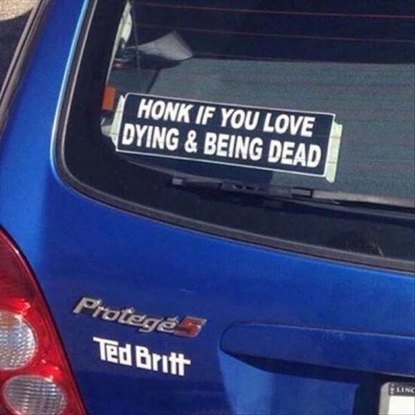 vehicle registration plate - Honk If You Love Dying & Being Dead Proteg Ted Britt