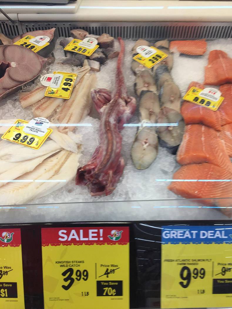 wtf meat - 499 Orange Hought Sale! 3 Great Deal Csuicne Kingfish Steaks Wild Catch Per ce Was 299 u Save You Save $1 115 70