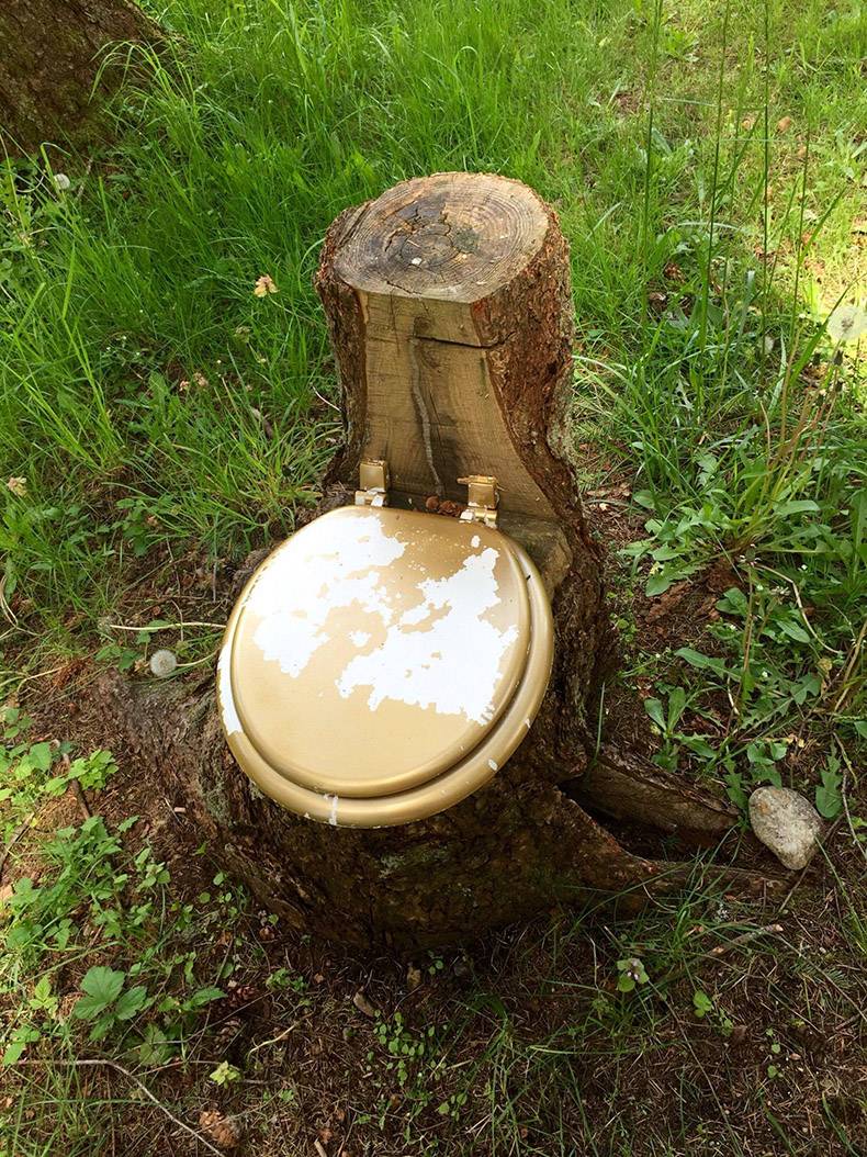 Toilet seat on a tree stump with the perfect shape for it.