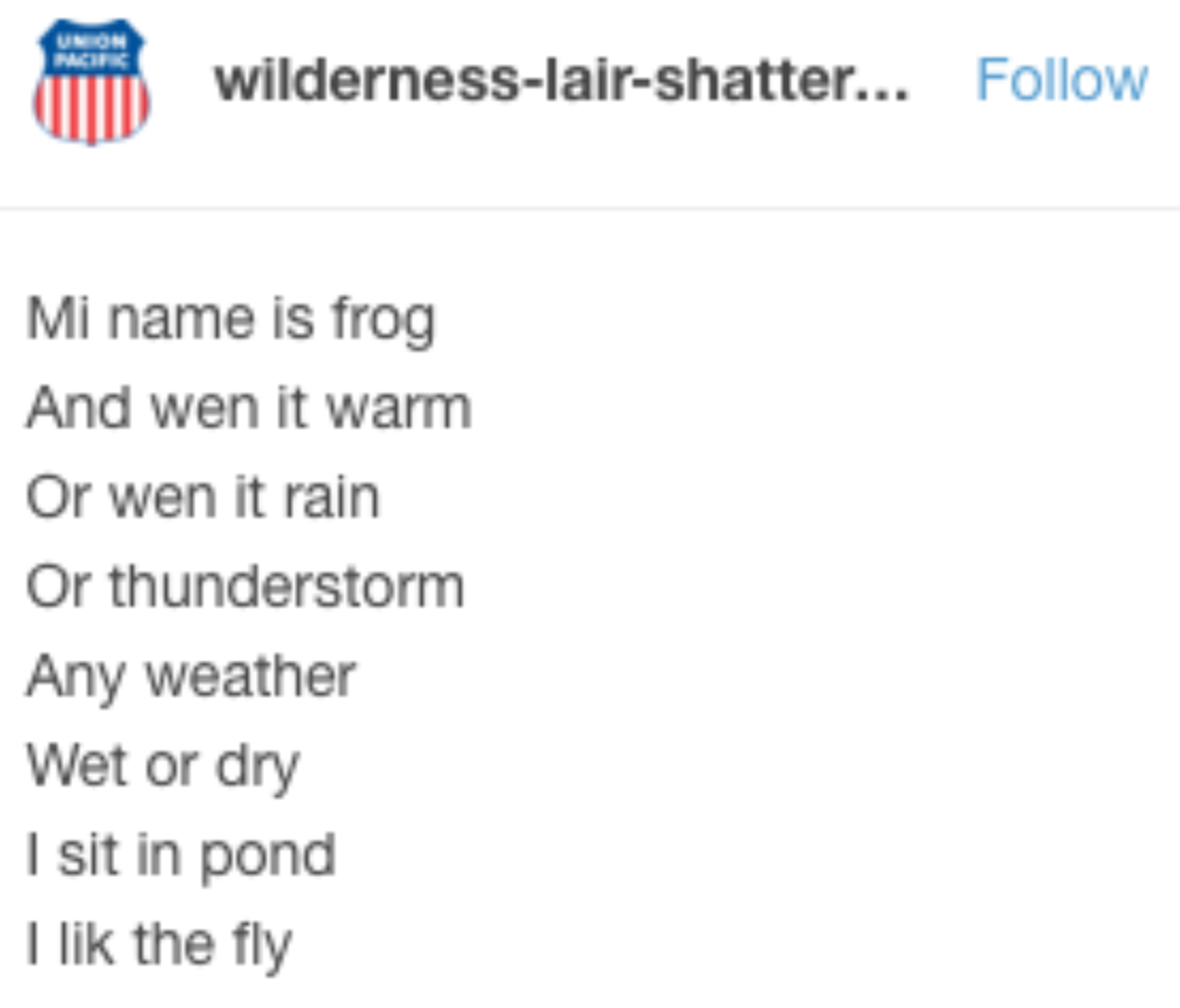 Illiterate Critters And Their Silly Rhymes