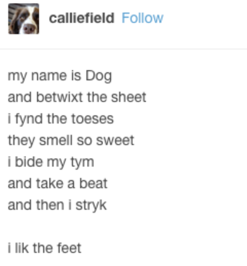 Illiterate Critters And Their Silly Rhymes