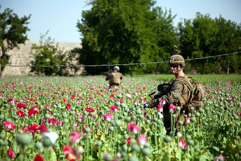 Soldiers standing in a field of poppy flowers