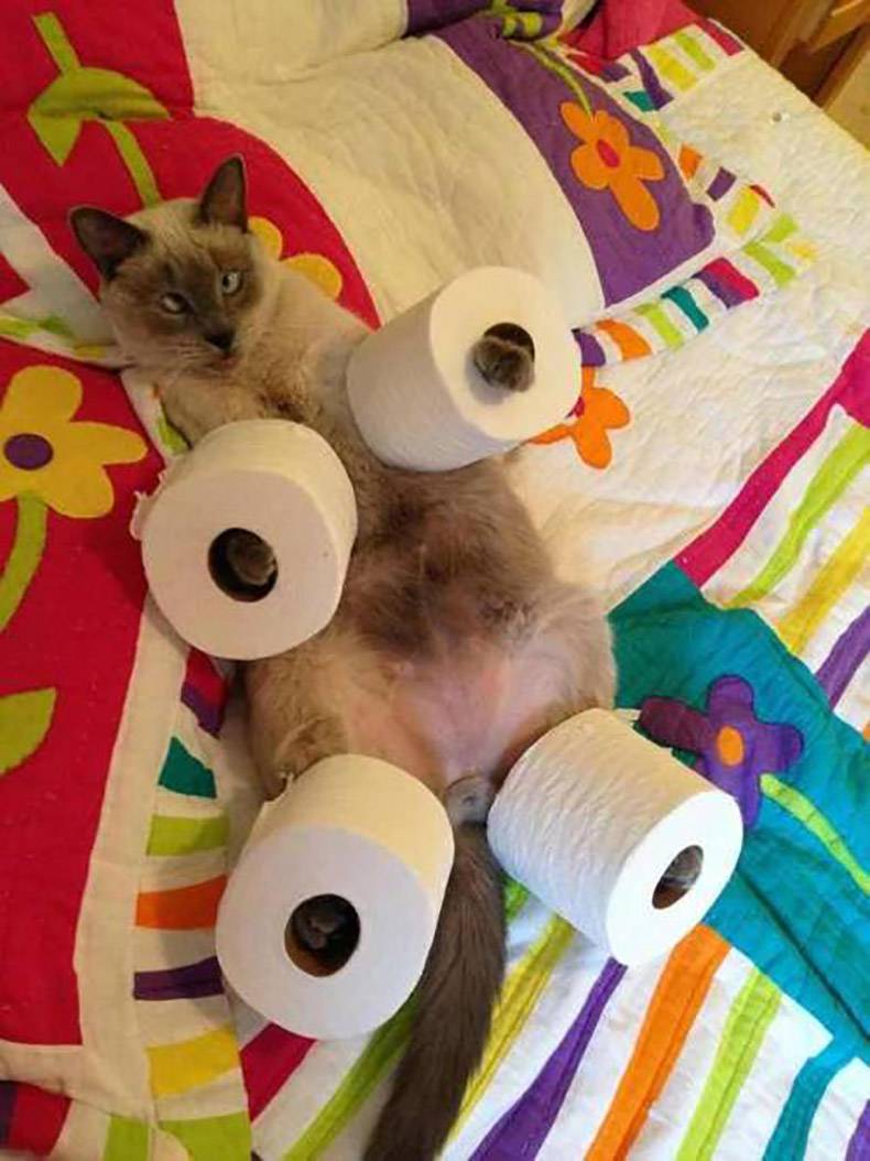 34 Awesome Pics That Will Lift Your Spirits