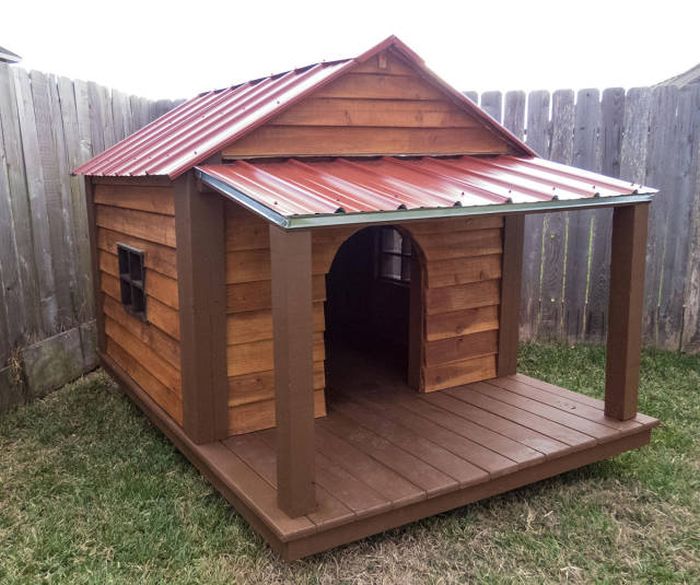 build a nice dog house