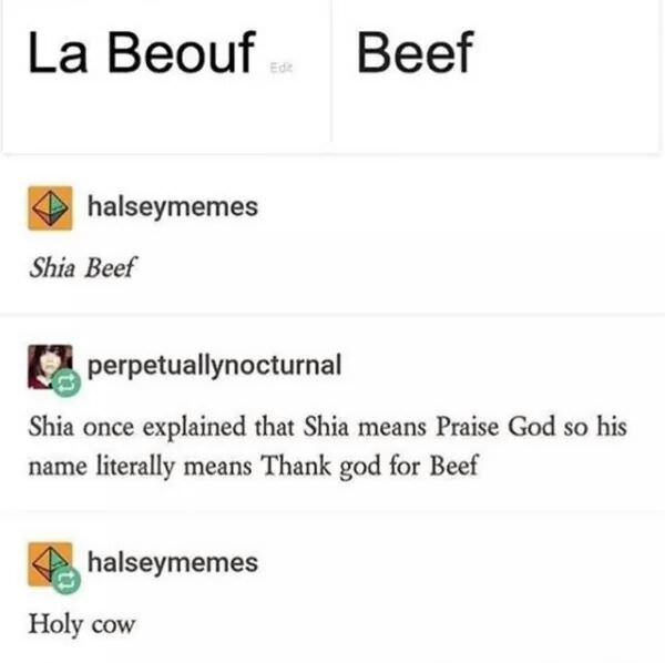 random pic document - La Beouf Beef halseymemes Shia Beef perpetuallynocturnal Shia once explained that Shia means Praise God so his name literally means Thank god for Beef halseymemes Holy cow