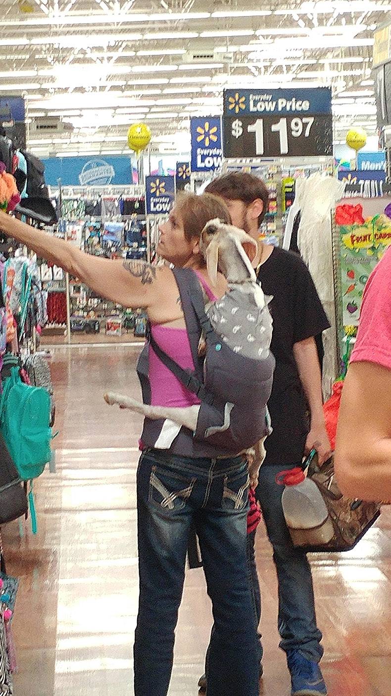 woman with goat in walmart - passe V Low Price $ 1197 Raw 33 $