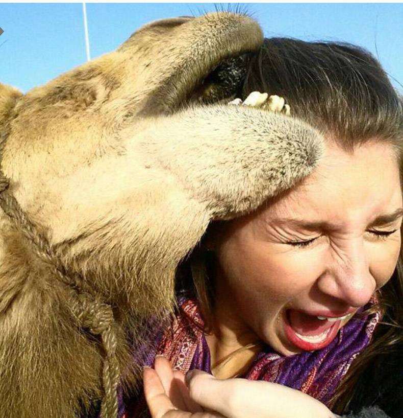camel selfie