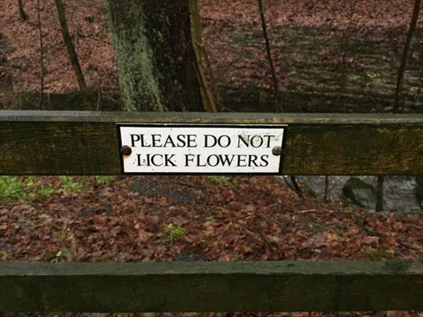 nature - Please Do Not Lick Flowers