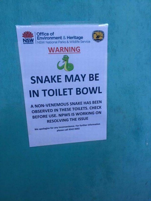 snakes in the toilet australia - Office of Environment & Heritage Nsw Nsw cons I Nsw National Parks & Wildlife Service Warning Snake May Be In Toilet Bowl A NonVenemous Snake Has Been Observed In These Toilets. Check Before Use. Npws Is Working On Resolvi