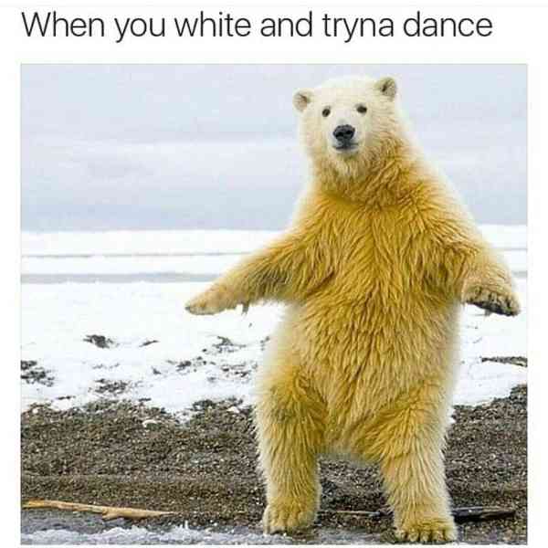 cool polar bear - When you white and tryna dance