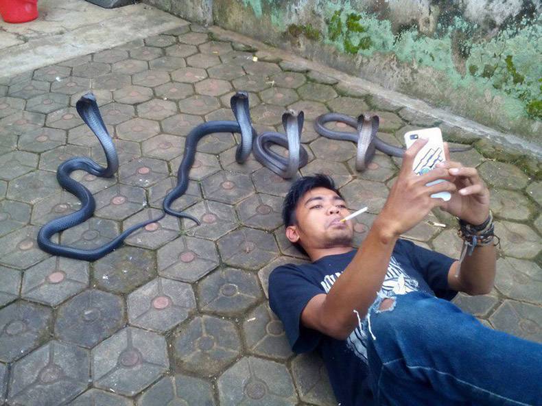 selfie with snakes