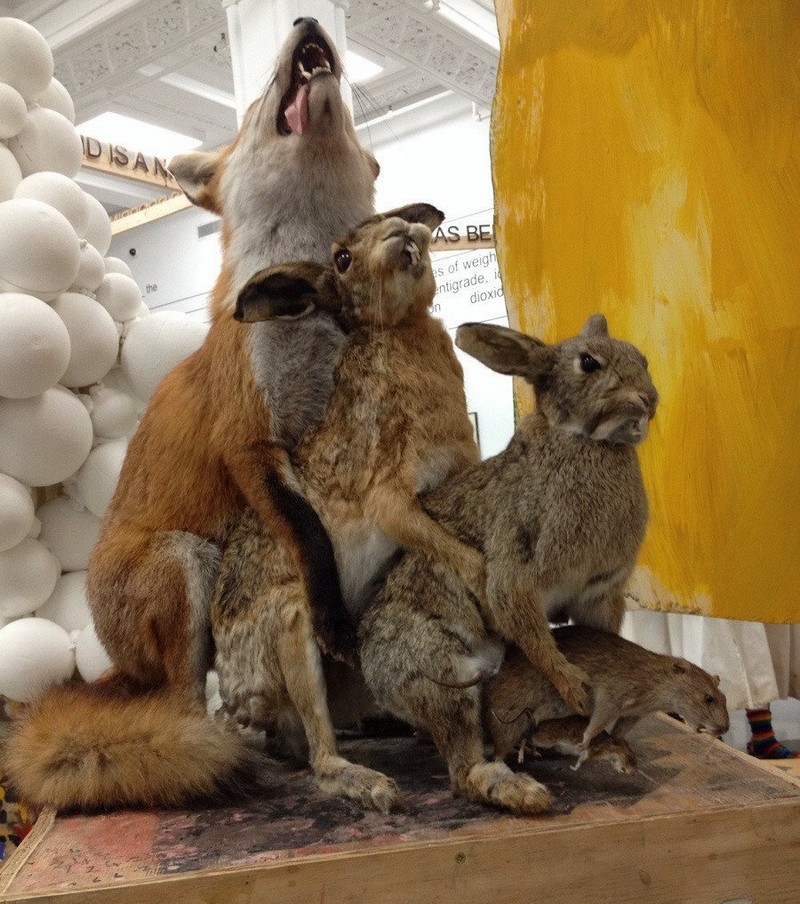 Witness The Horrors of Taxidermists Taking Artistic License