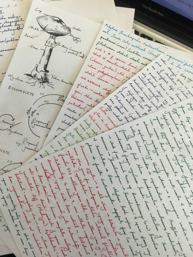 24 Amazing Examples of Exemplary Handwriting