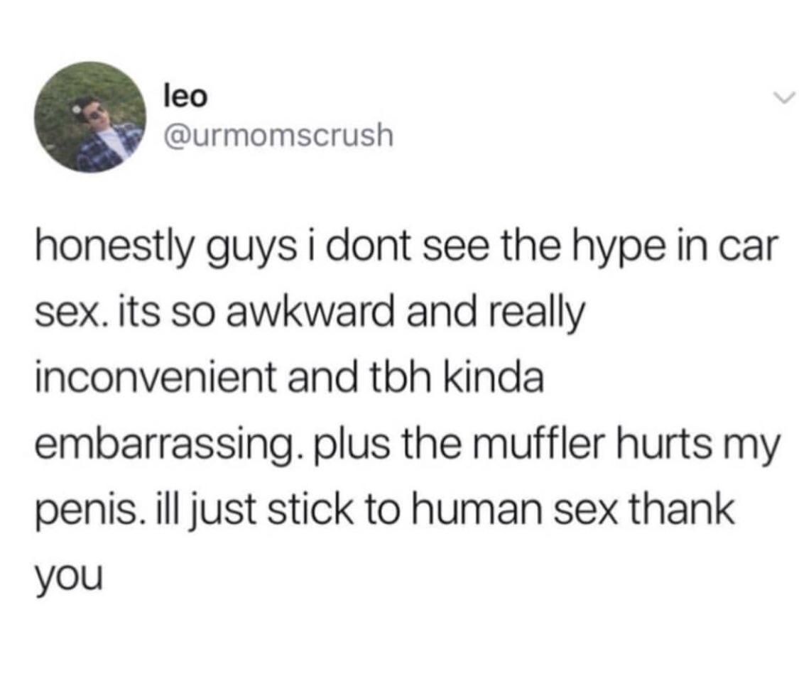 1 peter 3 3 4 - leo honestly guys i dont see the hype in car sex. its so awkward and really inconvenient and tbh kinda embarrassing. plus the muffler hurts my penis. ill just stick to human sex thank you