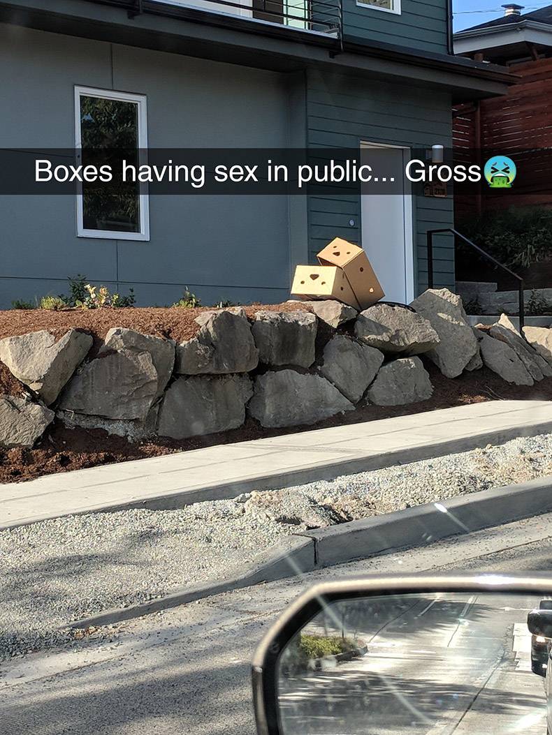 Humour - Boxes having sex in public... Grosse