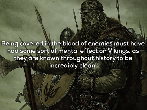 Detailed written sources from the Viking era and extensive archeological finds of grooming artifacts show that cleanliness and a well-groomed appearance were an important part of Viking life.