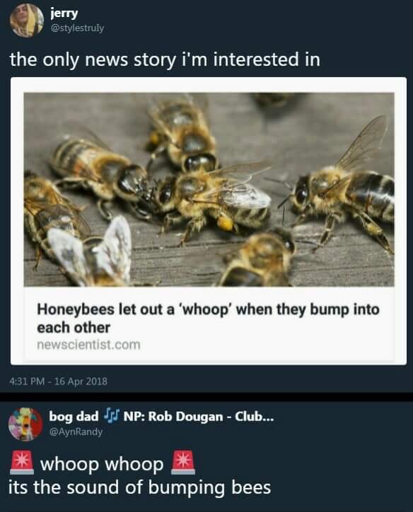 Bees make woop sound