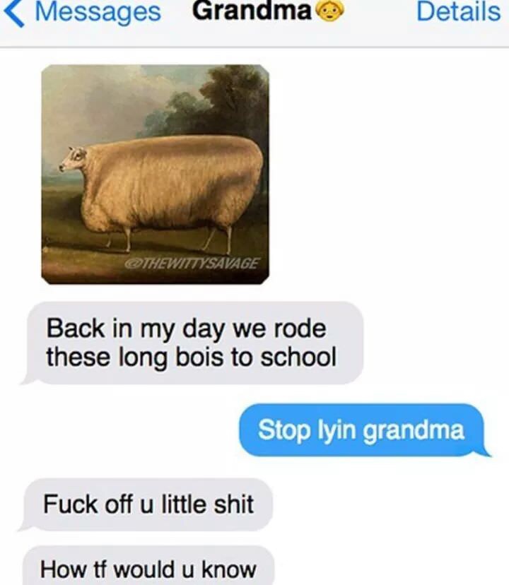 texting fat cows