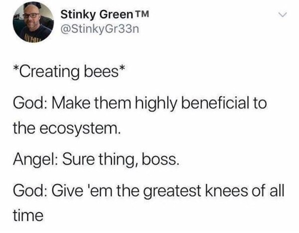 bees meme