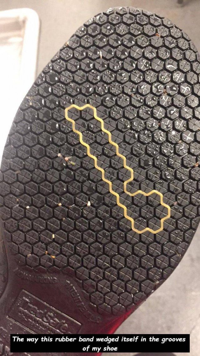serpent - The way this rubber band wedged itself in the grooves of my shoe