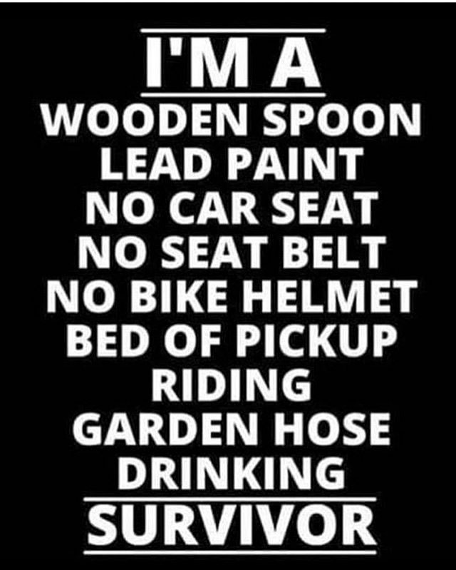 poster - I'M A Wooden Spoon Lead Paint No Car Seat No Seat Belt No Bike Helmet Bed Of Pickup Riding Garden Hose Drinking Survivor