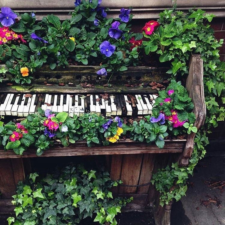 flower piano aesthetic