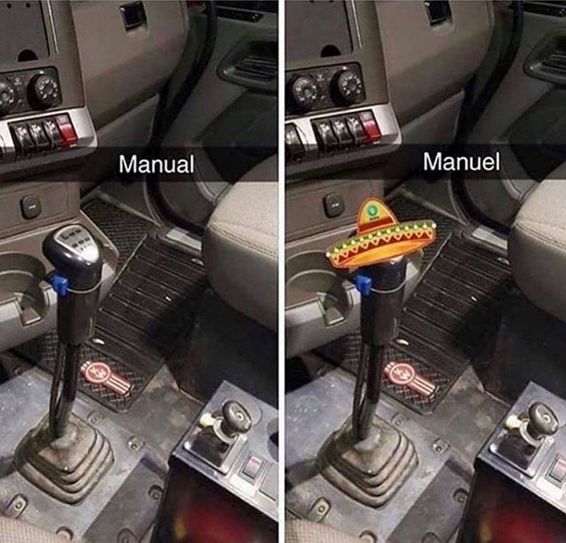 manual meme - Manual Manuel