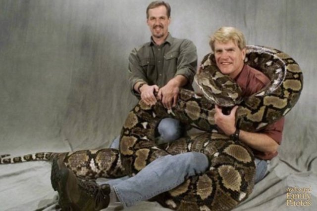 big ball python - And Family Photos