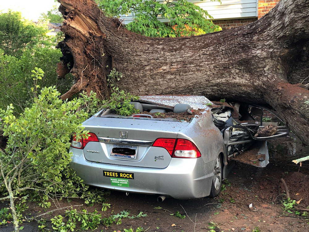 luxury vehicle - Bry Trees Rock Make America Green Again