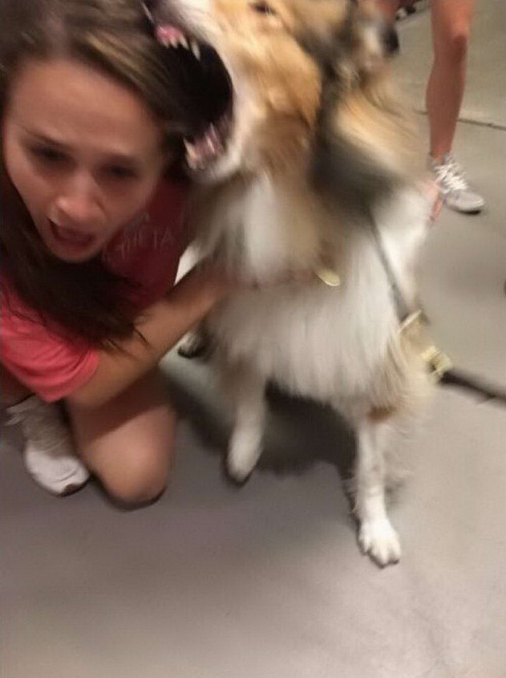 reveille bites sorority girl