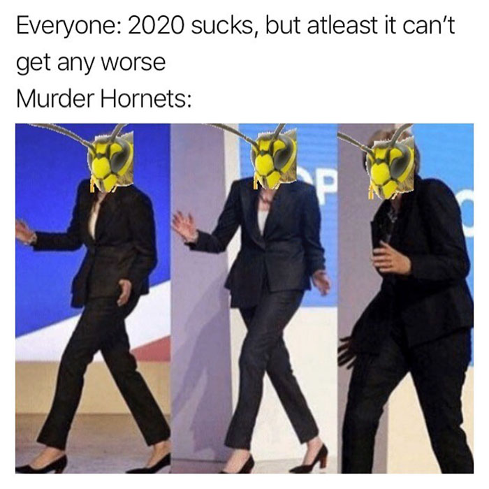 avengers cast meme - Everyone 2020 sucks, but atleast it can't get any worse Murder Hornets