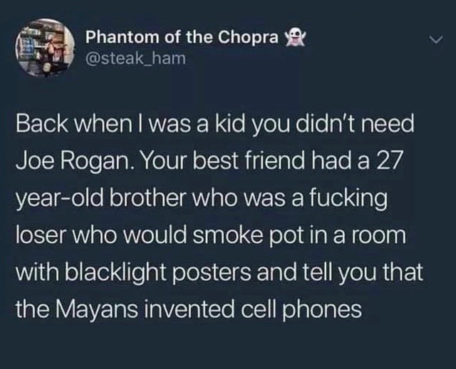 beauty of anti racism - Phantom of the Chopra Back when I was a kid you didn't need Joe Rogan. Your best friend had a 27 yearold brother who was a fucking loser who would smoke pot in a room with blacklight posters and tell you that the Mayans invented ce