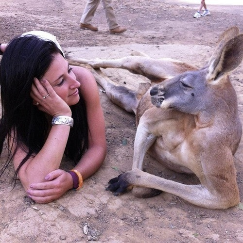 girl with kangaroo