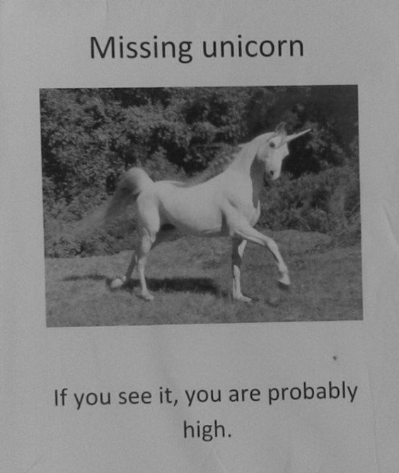 Missing unicorn