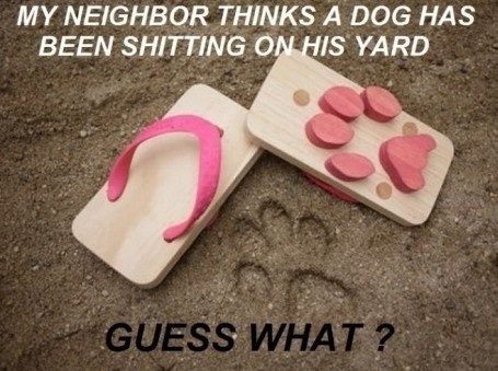 Dog sandals