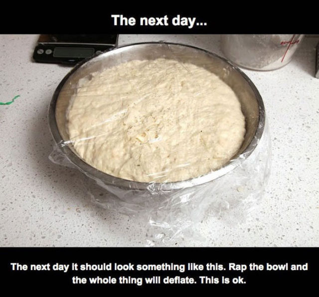 flour - The next day... The next day It should look something this. Rap the bowl and the whole thing will deflate. This is ok.