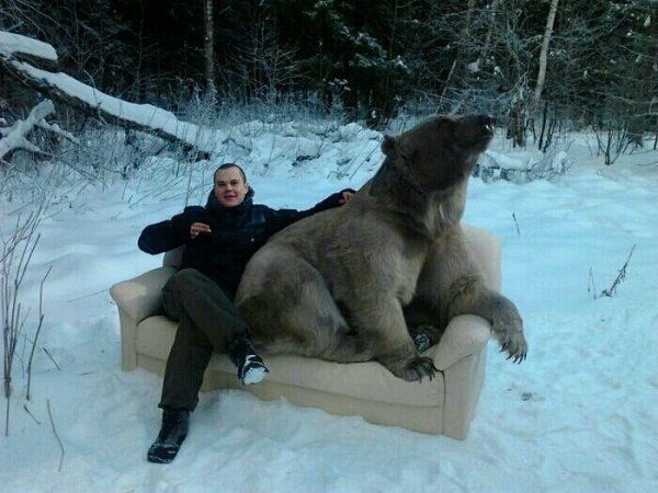 Incredibly Amusing WTF Moments From Russia