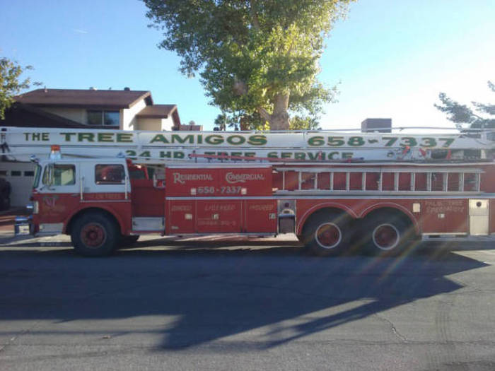 fire apparatus - The Tree 24 Hdess Service Recor 355873373