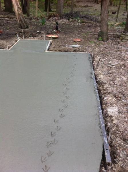 footprints in concrete