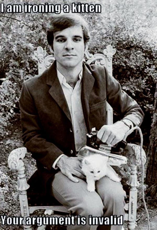 steve martin cat - Tam ironing a kitten Your argument is invalid