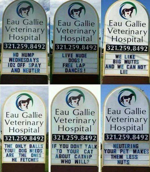 funny veterinary signs - Eau Gallie Eau Gallie Eau Gallie Veterinary Veterinary 1 Veterinary Hospital 11. Hospital Hospital 321.259.8492 321.259.8492 321.259.8492 No Hump Live Nude We Wednesdays Dogs! Big Mutts Toz Off Spay Free Lap And We Can Not And Neu
