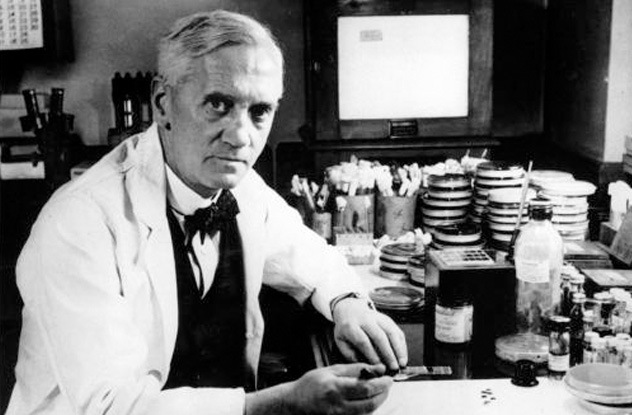 The discovery of penicillin is a modern fairy tale. After forgetting to clean a curate plate, Alexander Fleming discovered his sample had grown a gigantic blob of green mold with the power to kill bacteria. However, instead of realizing he’d just changed the world, Fleming decided his discovery was useless and abandoned further research, leaving others to recreate penicillin for him. It wasn’t easy. Fleming had left no notes and had no interest in finding the magical mold again. It wasn’t until 10 years later that a group of Cambridge scientists saw the potential in his discovery and began working on it in earnest. The mold was almost impossible to recreate, supplies were short, and any penicillin they did discover proved difficult to extract. To top it all off, World War II had just started, and the Luftwaffe kept bombing them. When they finally did succeed in extracting penicillin, it took significant additional work to produce enough to treat humans with it. At last, in 1940, the team succeeded in treating a case of septicemia. At this point, Alexander Fleming showed back up to take all the credit. Although the team’s contribution was acknowledged by the scientific establishment, Fleming was the one whose name went down in history. Yet his sole contribution to penicillin was not cleaning his plates properly.