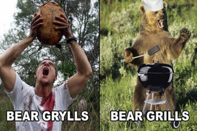 celebrity animal puns - Bear Grylls Bear Grills O