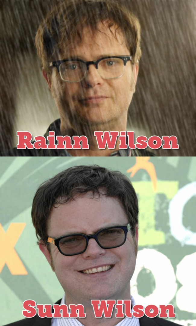 celebrity name puns - Rainn Wilson Sunn Wilson